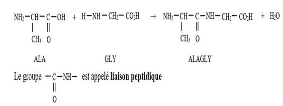 Description : Description : C:\Users\FUJITSU\Documents\camexams\leçon5_chim_niveauIII_fichiers\image009.jpg
