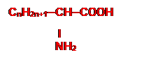 Zone de Texte: CnH2n+1─CH─COOH
                I
               NH2


