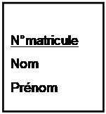 Zone de Texte: Nmatricule
Nom
Prnom
