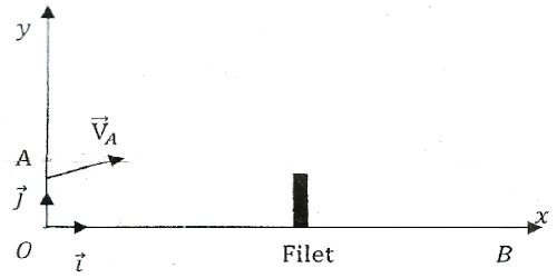 fillet